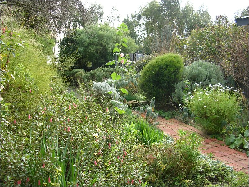 DSCN0915.JPG