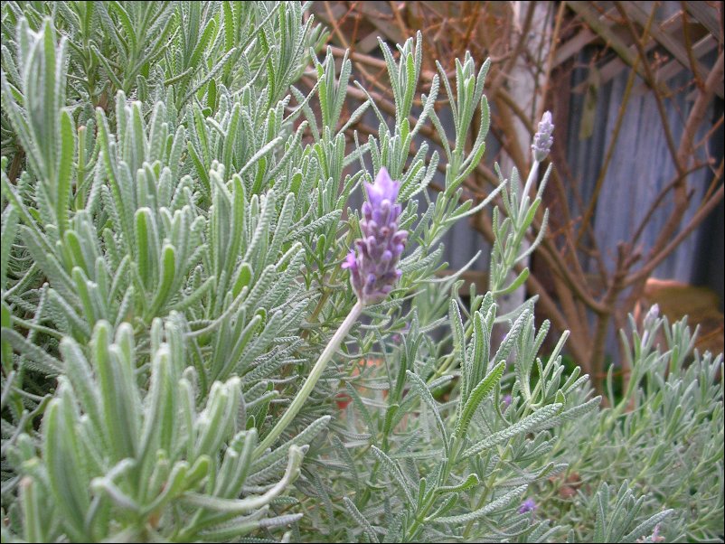 DSCN0919.JPG