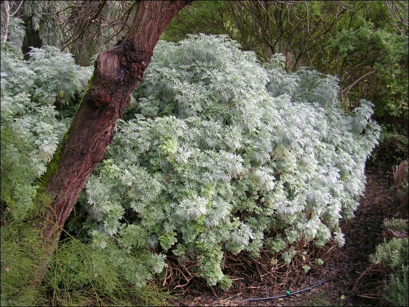 DSCN0927.JPG