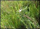 DSCN0917.JPG