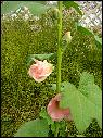 DSCN0921.JPG