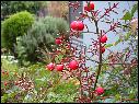 DSCN0923.JPG