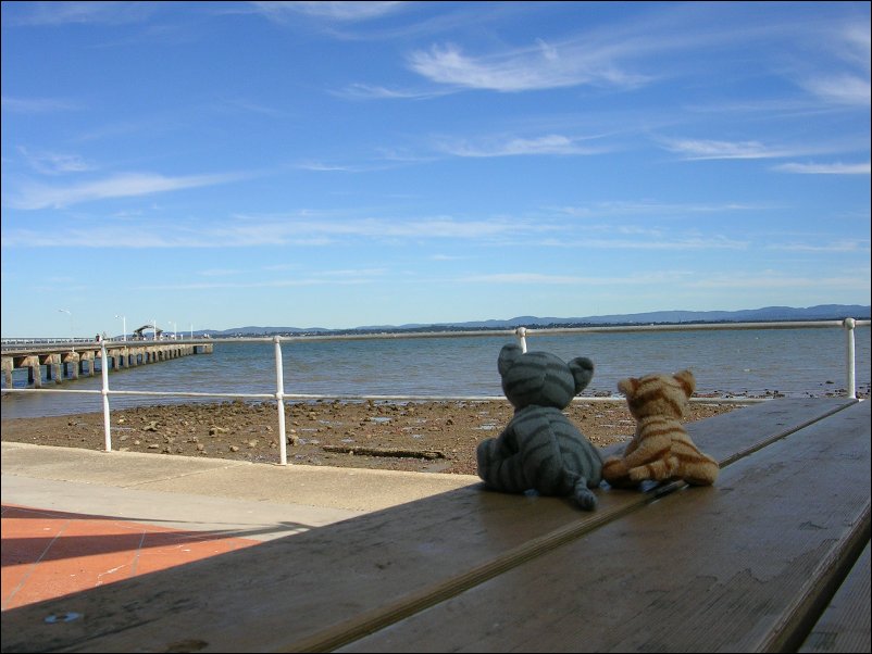 DSCN0741.JPG