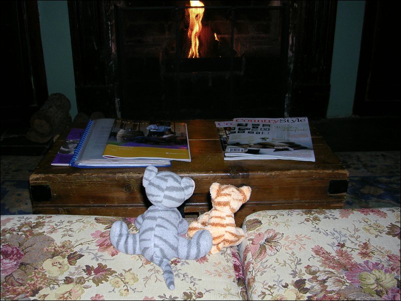 DSCN0909.JPG