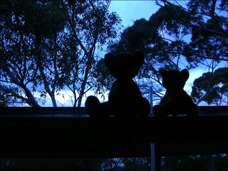 DSCN1116.JPG