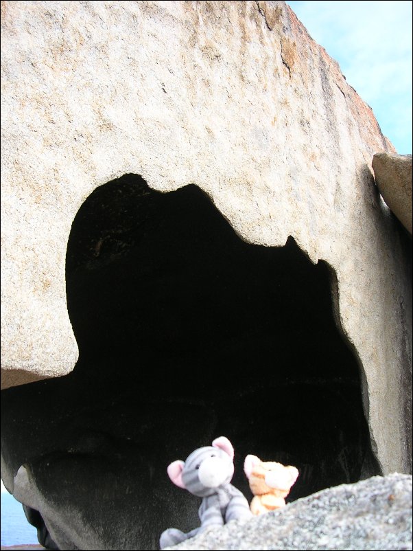 DSCN1212.JPG