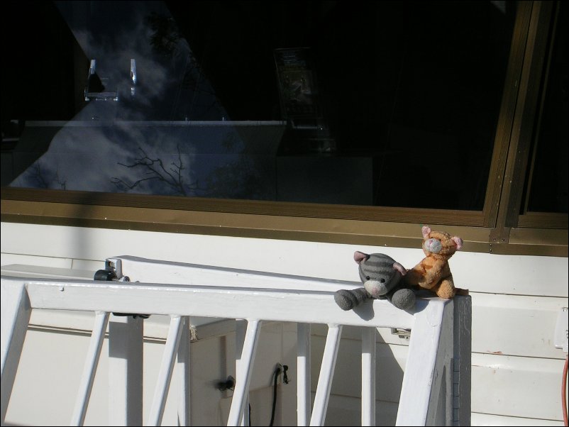 DSCN1282.JPG