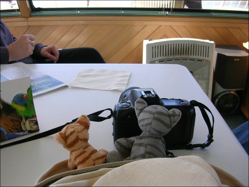 Dscn1320.jpg