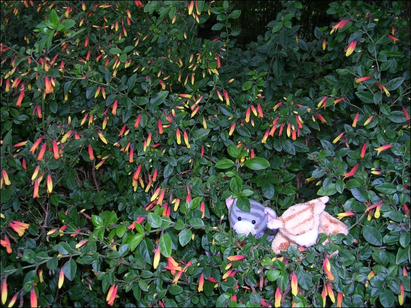 DSCN1604.JPG
