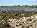 DSCN0727.JPG