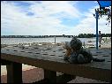DSCN0742.JPG