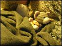 DSCN0912.JPG