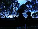 DSCN1116.JPG