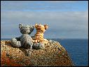 DSCN1222.JPG