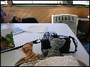 Dscn1320.jpg
