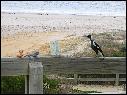 DSCN1444.JPG