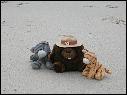DSCN1449.JPG