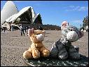 DSCN1581.JPG