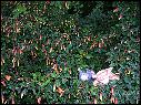 DSCN1604.JPG