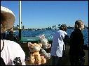 DSCN1670.JPG