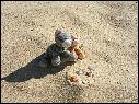 DSCN1730.JPG