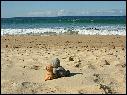 DSCN1732.JPG