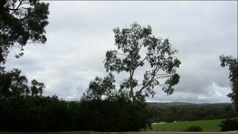 Dscn0938.jpg