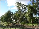 DSCN0868.JPG
