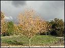 DSCN0873.JPG