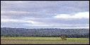 Dscn0948.jpg