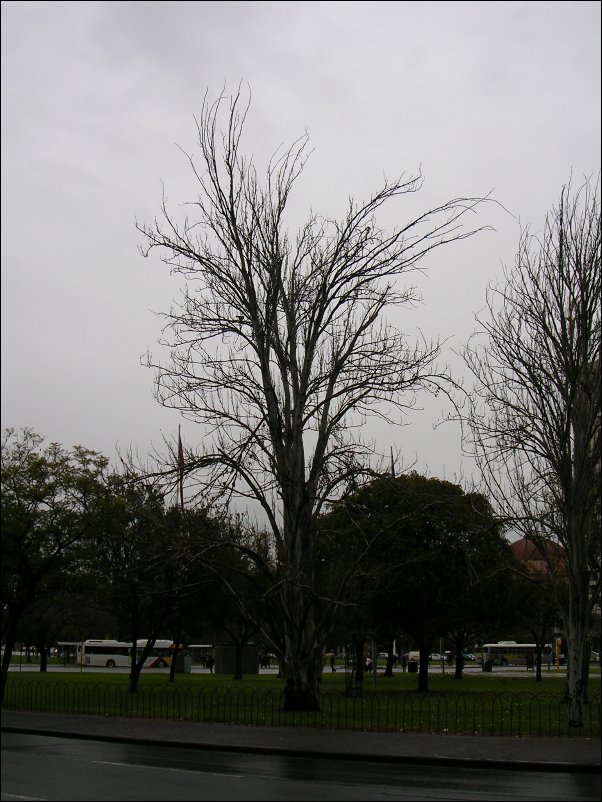 DSCN0989.JPG