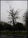 DSCN0989.JPG