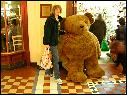DSCN0992.JPG