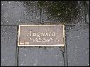 DSCN0994.JPG