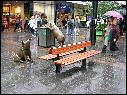 DSCN0999.JPG