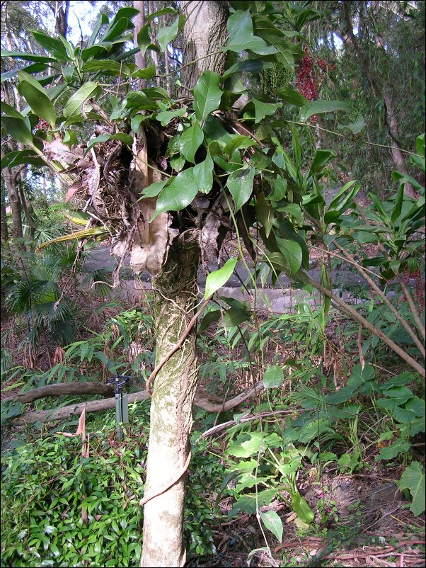 DSCN0760.JPG