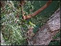 DSCN0750.JPG