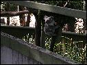 DSCN0766.JPG