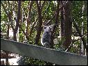 DSCN0767.JPG