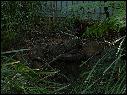 DSCN0770.JPG