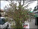 DSCN1474.JPG