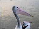 DSCN1099.JPG