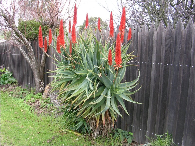 DSCN0959.JPG