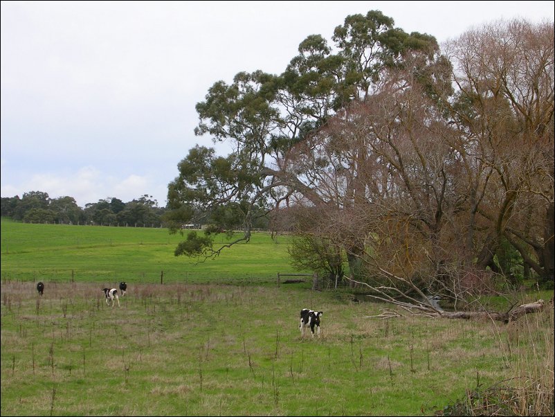 DSCN0962.JPG