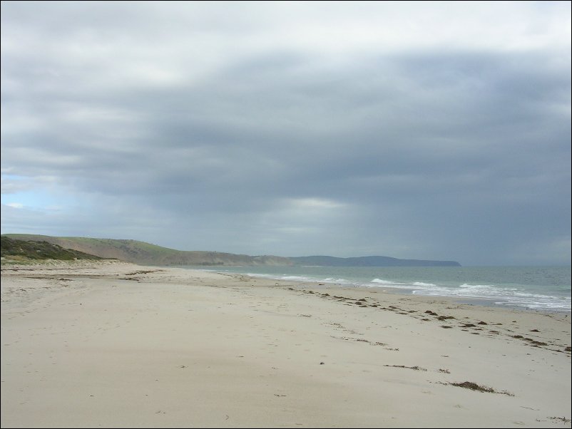 DSCN1450.JPG