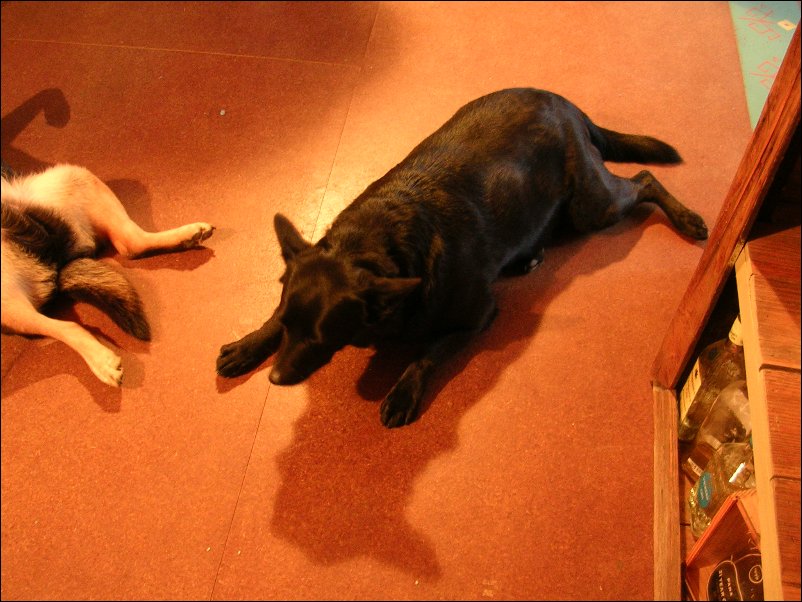 DSCN1467.JPG