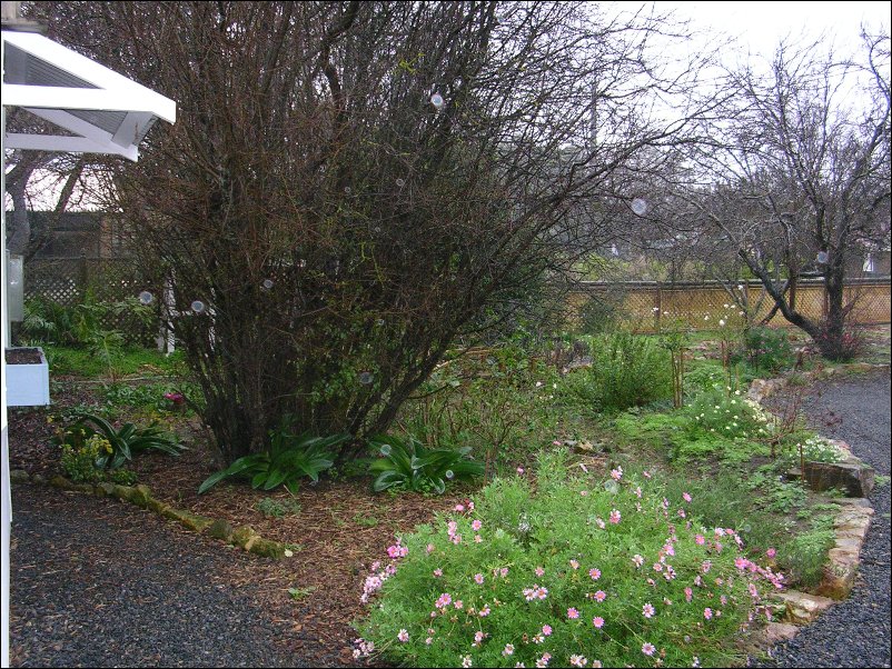 DSCN1488.JPG