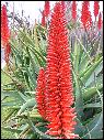 DSCN0960.JPG