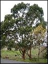 Dscn0963.jpg