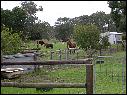 DSCN0969.JPG